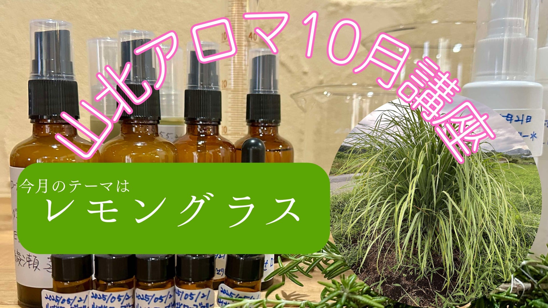 レモングラスカバー
